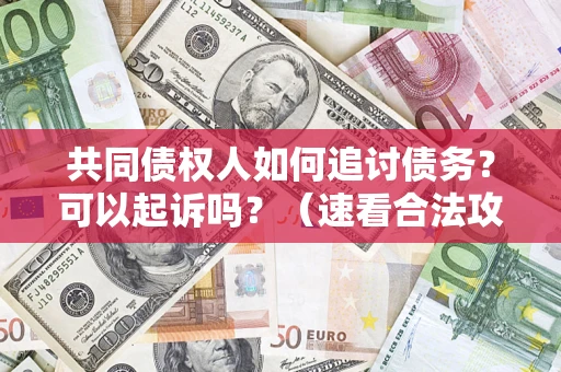 北京共同债权人如何追讨债务？可以起诉吗？（速看合法攻略）