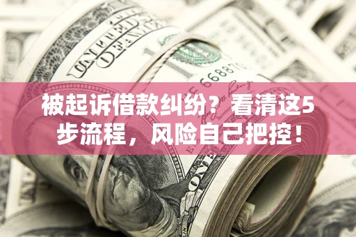 北京被起诉借款纠纷？看清这5步流程，风险自己把控！