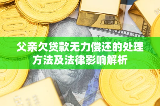 北京父亲欠贷款无力偿还的处理方法及法律影响解析